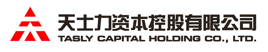 Lewin资本控股有限公司